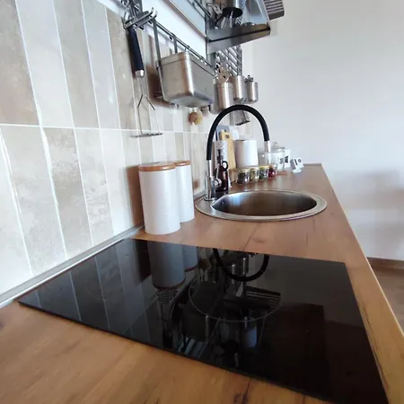 公寓 Vijogor Kod Plavog *