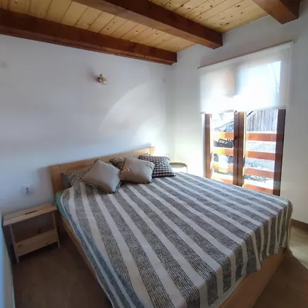 Vijogor Kod Plavog 公寓 *