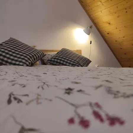 Vijogor Kod Plavog *